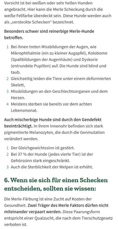 Silver, Blue und Lilac: Trendfarben mit schlimmen Folgen-Beitrag-Bild