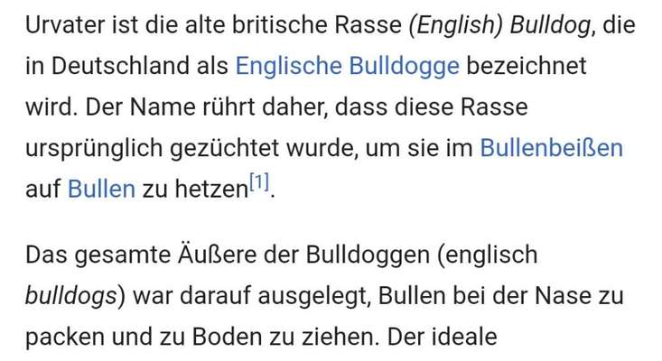 Brachycephale Hunderassen-Beitrag-Bild