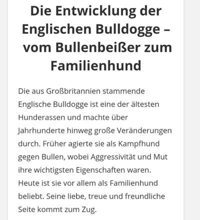 Brachycephale Hunderassen-Beitrag-Bild