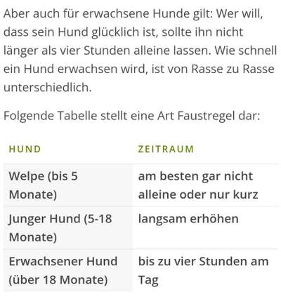 Wie oft gassi?-Beitrag-Bild