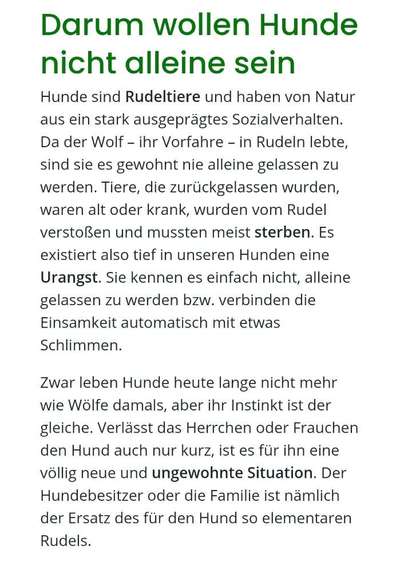 Wie oft gassi?-Beitrag-Bild