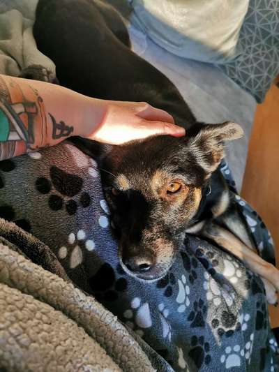 Fotochallenge Nr. 62 Romantische Momente-Beitrag-Bild