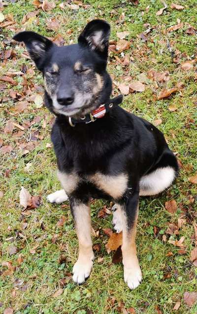 Her mit dem Grimassen-Beitrag-Bild