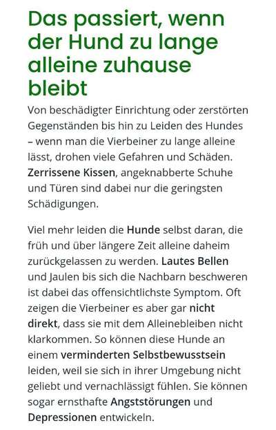 Wie oft gassi?-Beitrag-Bild