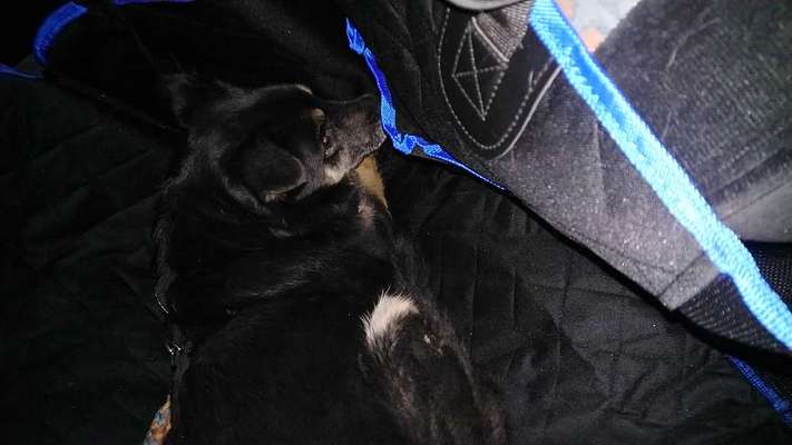 Das erste Foto-Beitrag-Bild