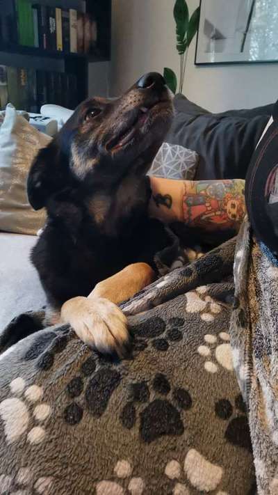 Her mit dem Grimassen-Beitrag-Bild