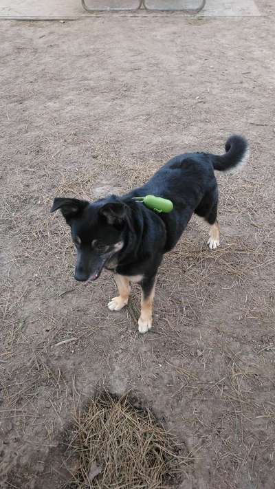 Der Gewichts-Thread-Beitrag-Bild