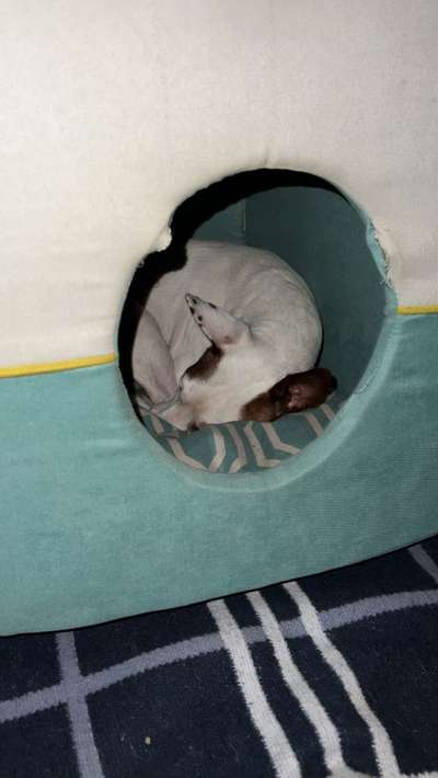 Wie übersteht ihr Silvester?-Beitrag-Bild