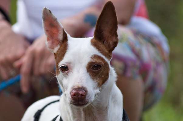 Blick fürs Detail!-Beitrag-Bild