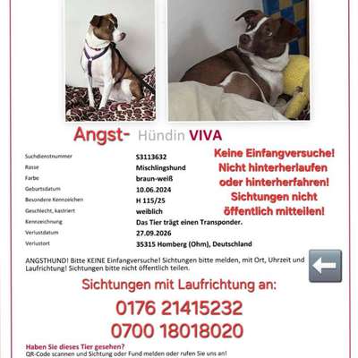 Suchmeldung-Viva-Bild