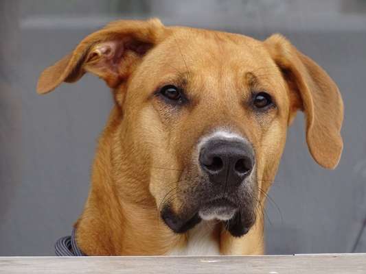 Lieblingsbild-Beitrag-Bild