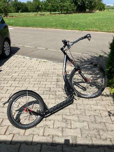 Tretroller Alternative zu Fahrrad?-Beitrag-Bild