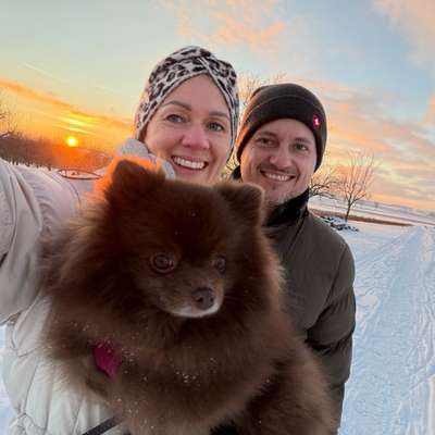 Hundetreffen-Kleine Hunde