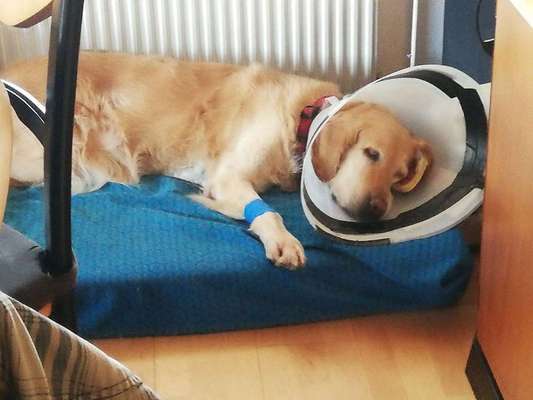 Komische stelle zwischen den Zehen-Beitrag-Bild