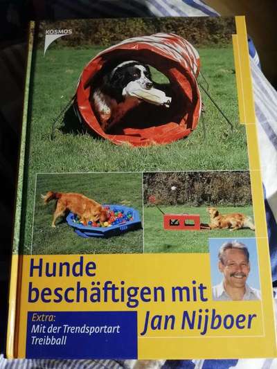 Stürmische Begrüßungen.-Beitrag-Bild