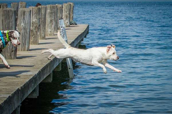 FOTOCHALLANGE NR.71 BADEFREUDE-Beitrag-Bild