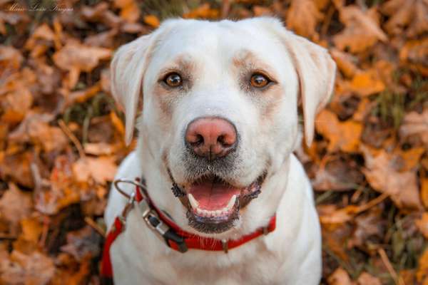 Fotochallange Nr. 57     PORTRÄT.   Beendet!!!!!!!!-Beitrag-Bild