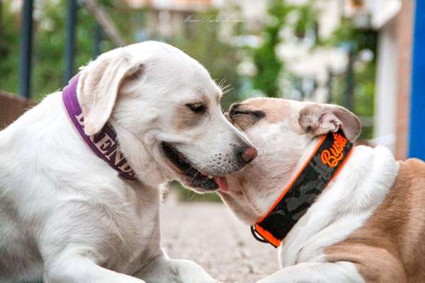 Fotochallenge Nr. 62 Romantische Momente-Beitrag-Bild