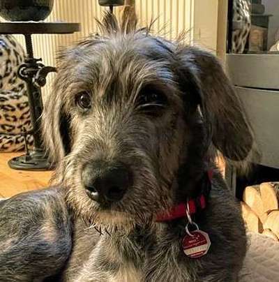 Fotochallange Nr. 57     PORTRÄT.   Beendet!!!!!!!!-Beitrag-Bild