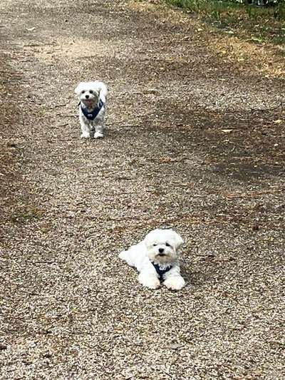 Doppelgänger gesucht !-Beitrag-Bild