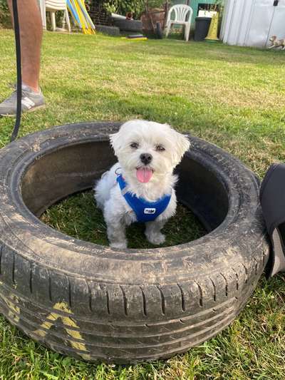 Doppelgänger gesucht !-Beitrag-Bild