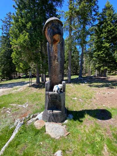 Fotowettbewerb Natur-Beitrag-Bild