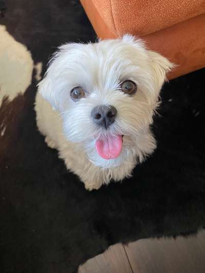 Das beste grinsefoto-Beitrag-Bild