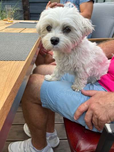 Doppelgänger gesucht !-Beitrag-Bild