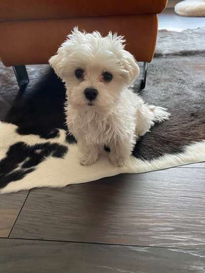 Doppelgänger gesucht !-Beitrag-Bild