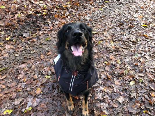 Dogorama Photo Challenge - Einmal lächeln bitte-Beitrag-Bild