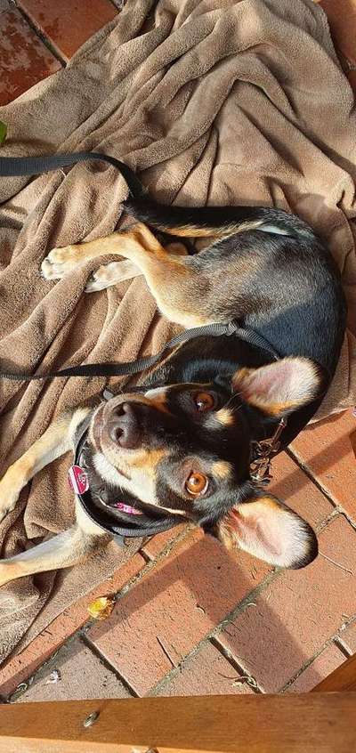 Immer lächeln !-Beitrag-Bild