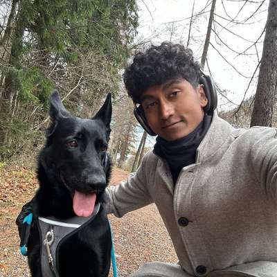 Hundetreffen-Gemeinsam lernen: Hundebegegnungen trainieren-Bild