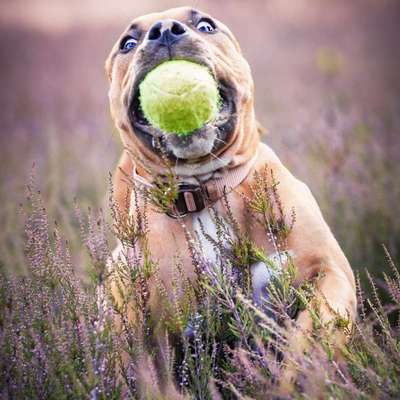 Fotochallange Nr. 6 Die irrsten Blicke-Beitrag-Bild