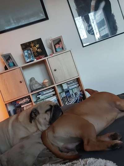 müde der kleine-Beitrag-Bild