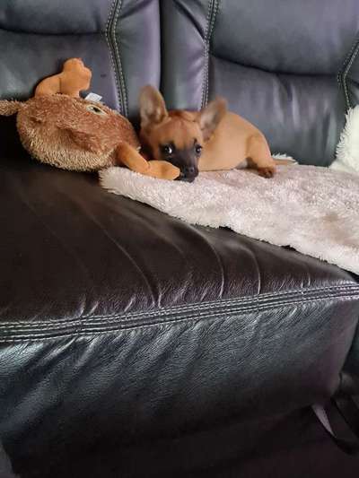 Erstes Bild-Beitrag-Bild