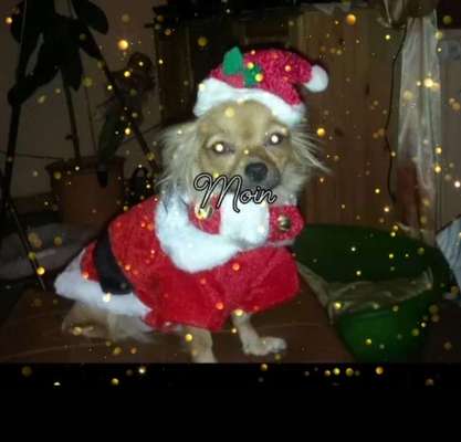 It's beginning to look a lot like.....-Beitrag-Bild