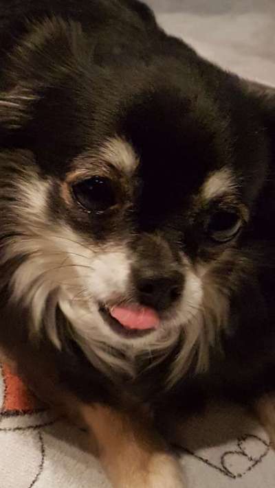 Tongue Out Tuesday-Beitrag-Bild