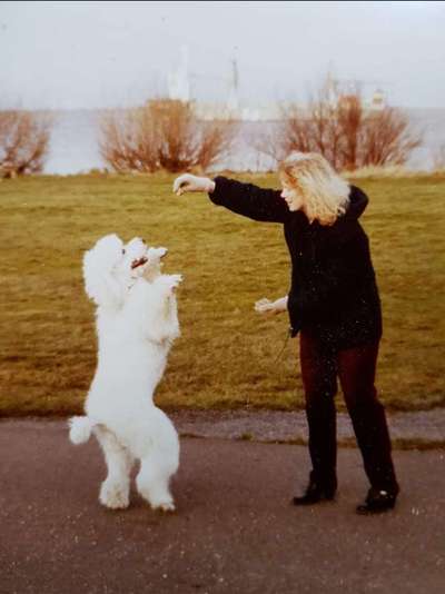 Fotowettbewerb Natur-Beitrag-Bild