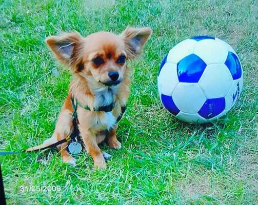 138. Fotochallenge 

(M)Ein Ball und ich-Beitrag-Bild