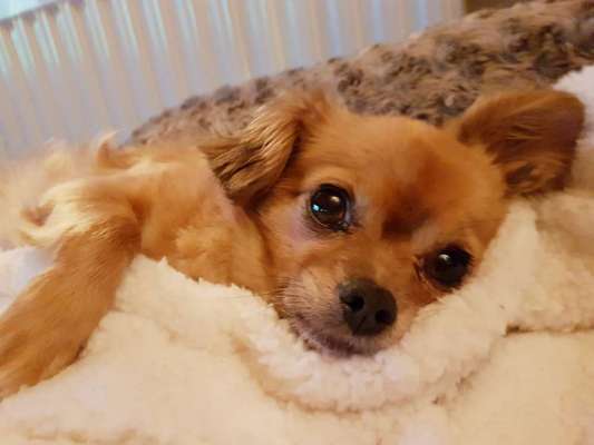 Fotochallenge Nr. 62 Romantische Momente-Beitrag-Bild