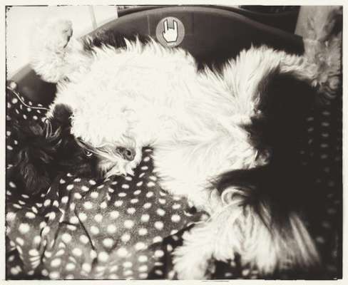 Foto Challenge - Zeigt her eure Bäuche-Beitrag-Bild