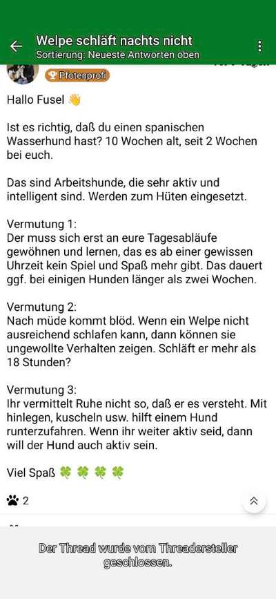 Welpe will immer aufs Sofa und zwickt wenn man ihn "wegschiebt"-Beitrag-Bild