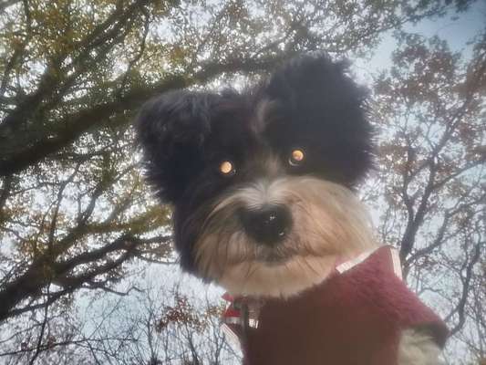 23. Handy Foto-Challenge-Beitrag-Bild