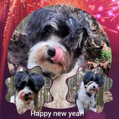 18. Collagen Challenge - Zunge raus!-Beitrag-Bild