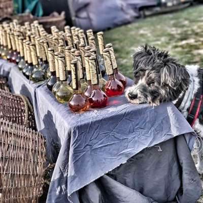 87. Trickchallenge: kinntarget-Beitrag-Bild