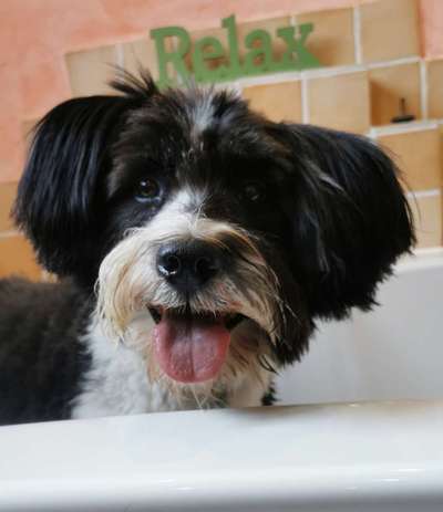 Fotochallenge Nr.122-Beitrag-Bild