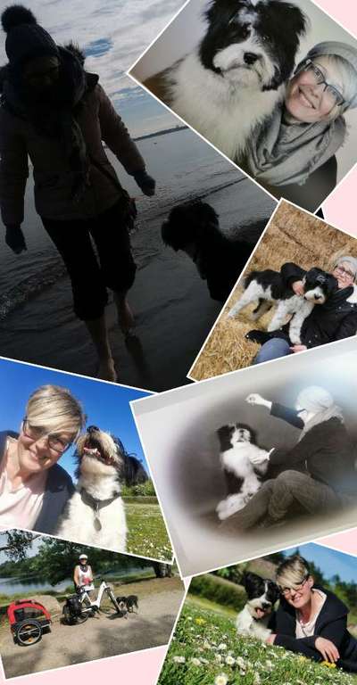 21. Collage Challenge 
Du und dein Hund-Beitrag-Bild