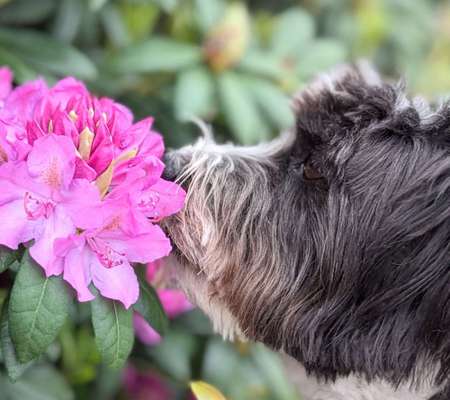 30. Farben Challenge - Pink-Beitrag-Bild