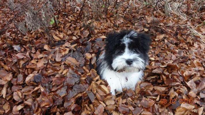 Sie werden so schnell erwachsen ...-Beitrag-Bild