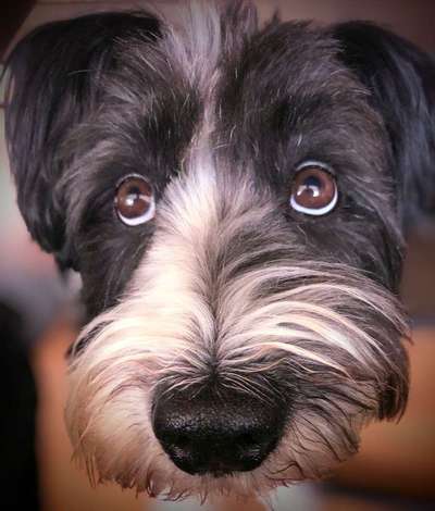 Das Gefühl das es nicht passt...-Beitrag-Bild